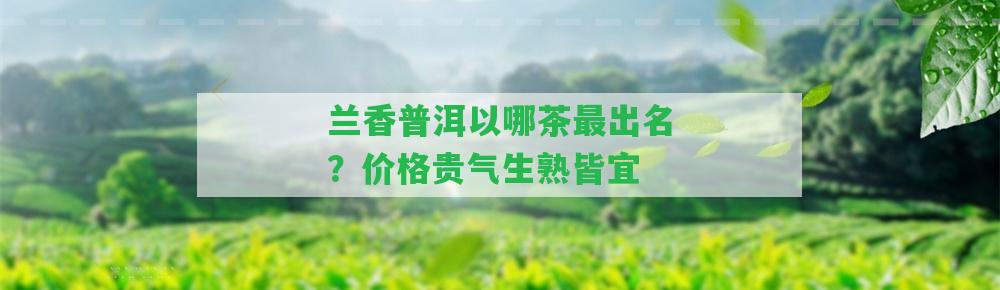 蘭香普洱以哪茶最出名？?jī)r(jià)格貴氣生熟皆宜