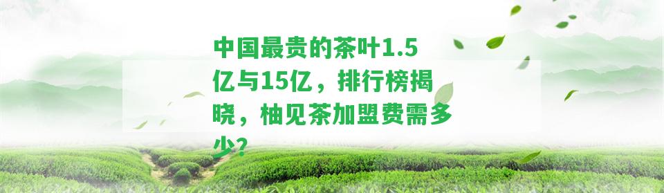 中國最貴的茶葉1.5億與15億，排行榜揭曉，柚見茶加盟費需多少？