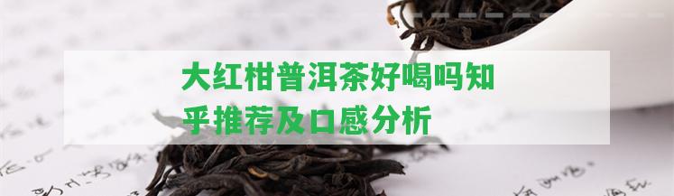 大紅柑普洱茶好喝嗎知乎推薦及口感分析