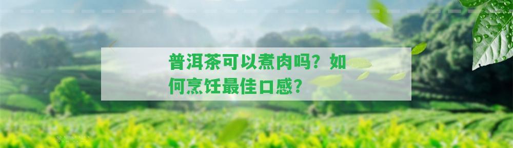 普洱茶可以煮肉嗎？怎樣烹飪最佳口感？