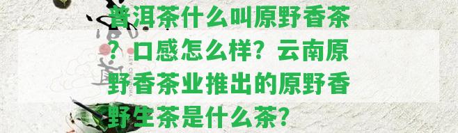 普洱茶什么叫原野香茶？口感怎么樣？云南原野香茶業(yè)推出的原野香野生茶是什么茶？