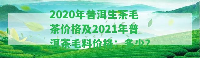 2020年普洱生茶毛茶價(jià)格及2021年普洱茶毛料價(jià)格：多少？