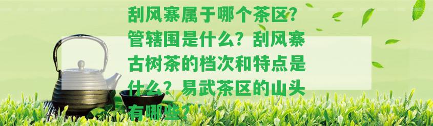 刮風(fēng)寨屬于哪個(gè)茶區(qū)？管轄圍是什么？刮風(fēng)寨古樹茶的檔次和特點(diǎn)是什么？易武茶區(qū)的山頭有哪些？