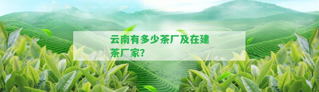 云南有多少茶廠及在建茶廠家？