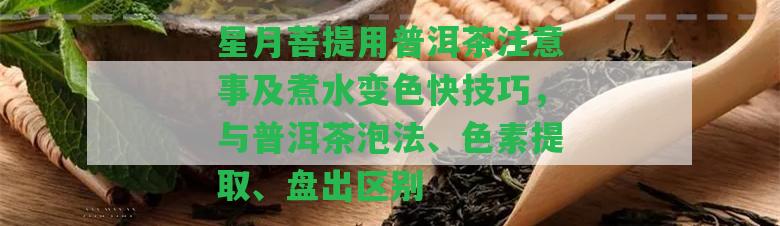 星月菩提用普洱茶留意事及煮水變色快技巧，與普洱茶泡法、色素提取、盤出區(qū)別