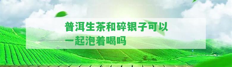 普洱生茶和碎銀子可以一起泡著喝嗎