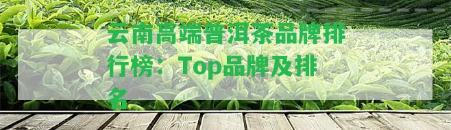 云南高端普洱茶品牌排行榜：Top品牌及排名