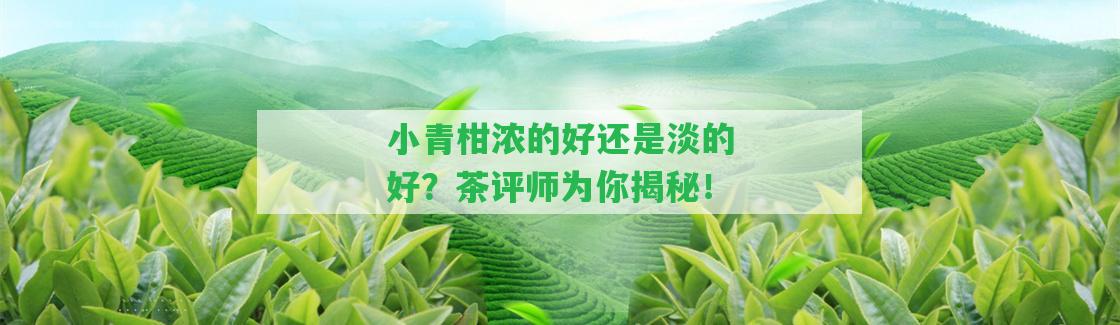 小青柑濃的好還是淡的好？茶評師為你揭秘！