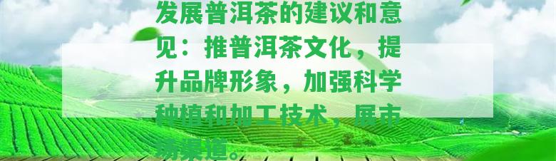 發(fā)展普洱茶的建議和意見：推普洱茶文化，提升品牌形象，加強科學種植和加工技術，展市場渠道。