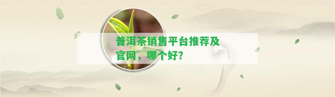 普洱茶銷售平臺推薦及官網(wǎng)，哪個好？