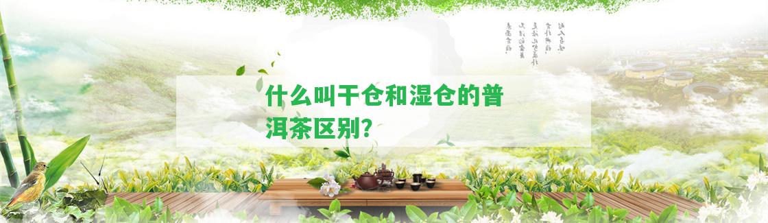 什么叫干倉(cāng)和濕倉(cāng)的普洱茶區(qū)別？