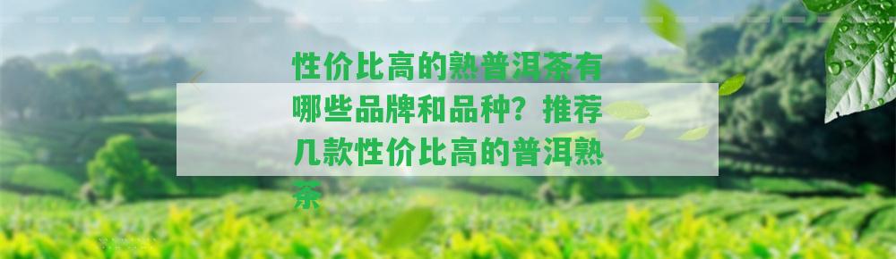 性?xún)r(jià)比高的熟普洱茶有哪些品牌和品種？推薦幾款性?xún)r(jià)比高的普洱熟茶