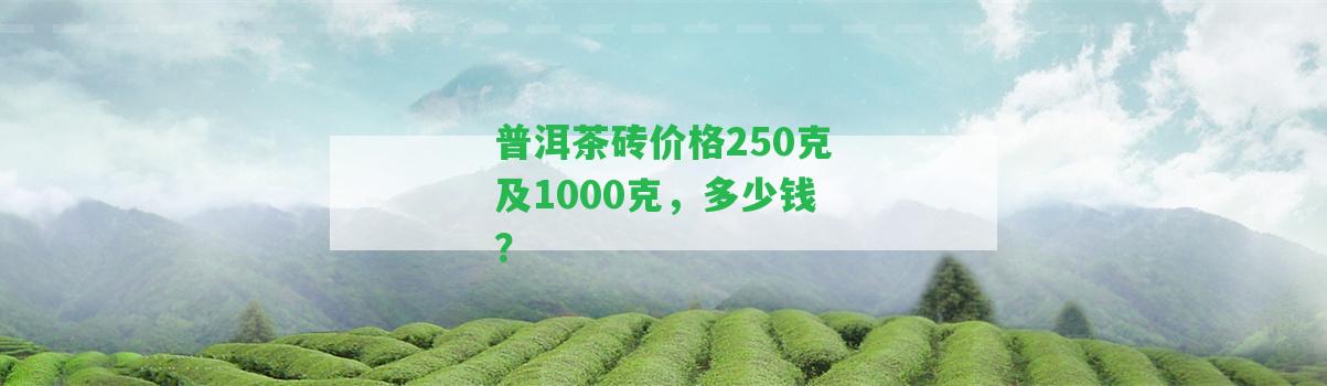 普洱茶磚價格250克及1000克，多少錢？