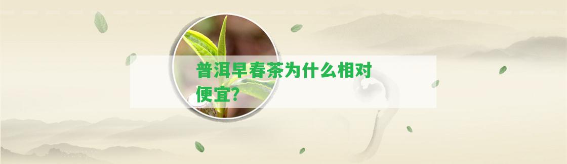 普洱早春茶為什么相對便宜？