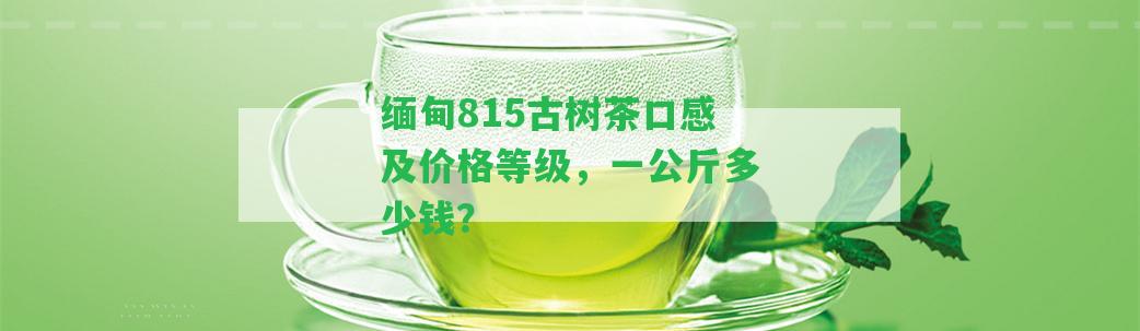 緬甸815古樹茶口感及價(jià)格等級，一公斤多少錢？