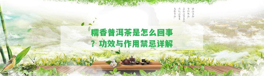 糯香普洱茶是怎么回事？功效與作用禁忌詳解