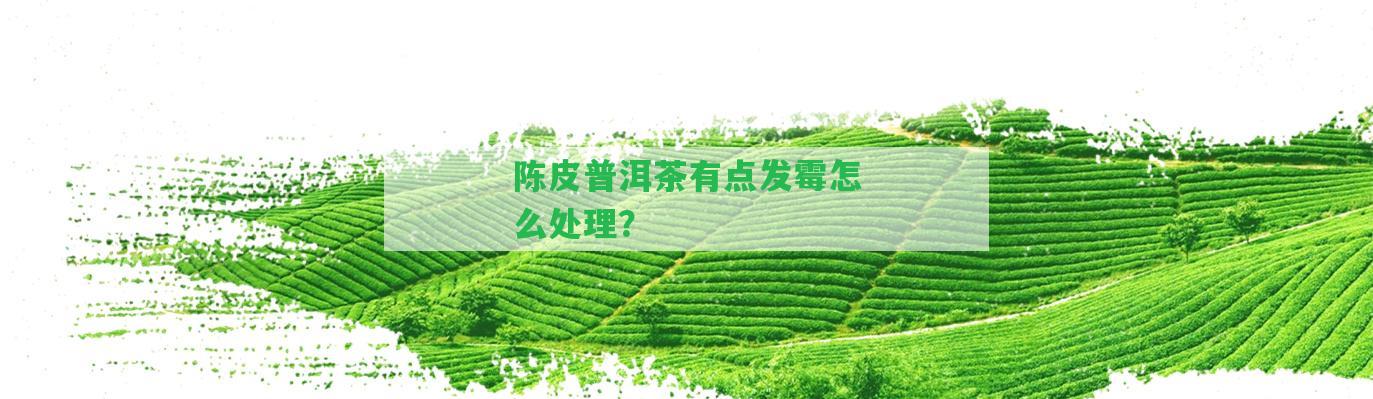 陳皮普洱茶有點發(fā)霉怎么解決？