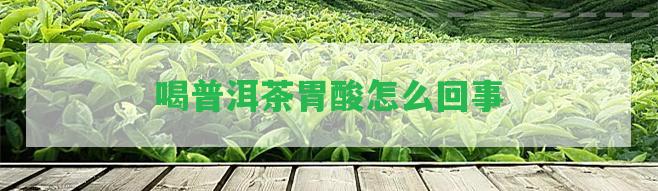 喝普洱茶胃酸怎么回事