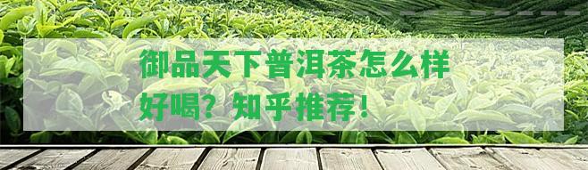 御品天下普洱茶怎么樣好喝？知乎推薦！