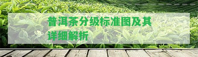 普洱茶分級標準圖及其詳細解析