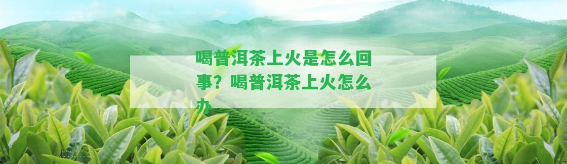 喝普洱茶上火是怎么回事？喝普洱茶上火怎么辦