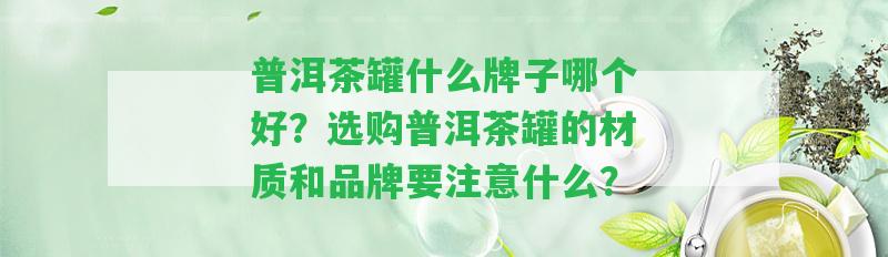 普洱茶罐什么牌子哪個好？選購普洱茶罐的材質(zhì)和品牌要留意什么？