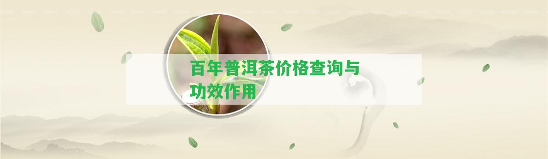 百年普洱茶價(jià)格查詢與功效作用