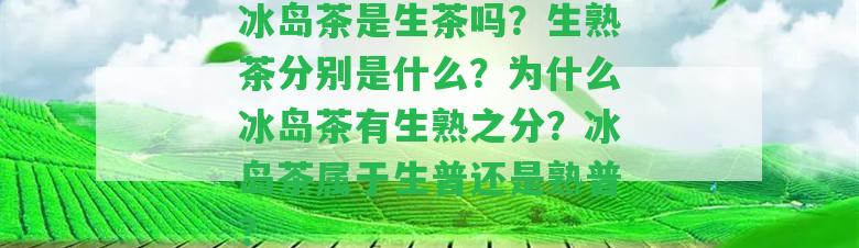 冰島茶是生茶嗎？生熟茶分別是什么？為什么冰島茶有生熟之分？冰島茶屬于生普還是熟普？