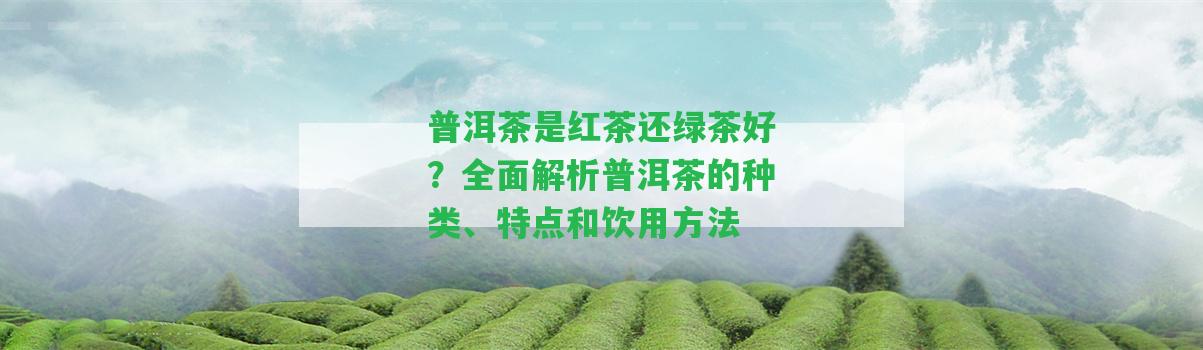 普洱茶是紅茶還綠茶好？全面解析普洱茶的種類(lèi)、特點(diǎn)和飲用方法