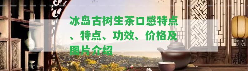 冰島古樹生茶口感特點、特點、功效、價格及圖片介紹