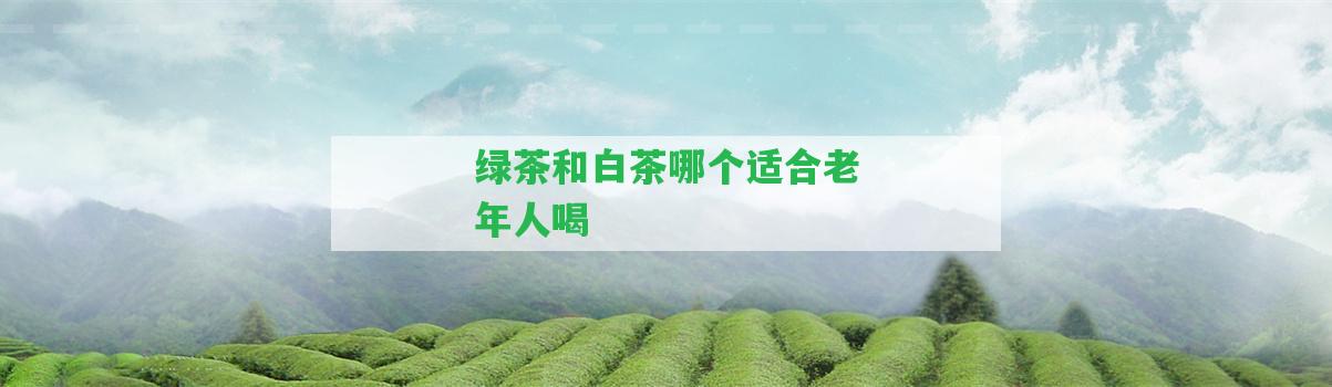 綠茶和白茶哪個(gè)適合老年人喝