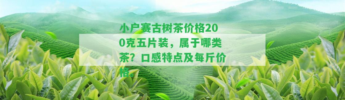 小戶賽古樹茶價格200克五片裝，屬于哪類茶？口感特點及每斤價格。