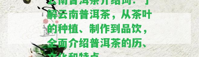 云南普洱茶介紹詞：熟悉云南普洱茶，從茶葉的種植、制作到品飲，全面介紹普洱茶的歷、文化和特點(diǎn)。