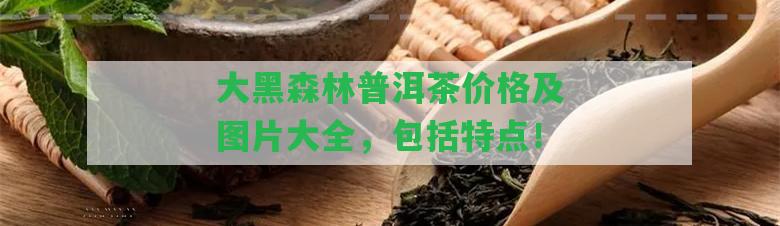 大黑森林普洱茶價格及圖片大全，包含特點！