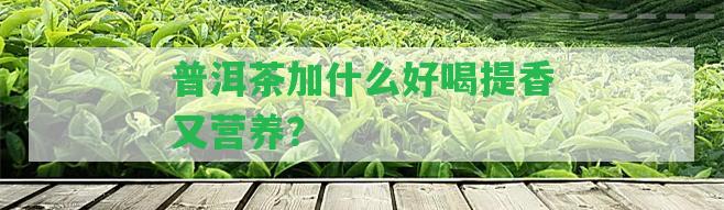 普洱茶加什么好喝提香又營(yíng)養(yǎng)？