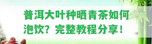 普洱大葉種曬青茶怎樣泡飲？完整教程分享！