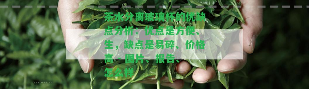 茶水分離玻璃杯的優(yōu)缺點(diǎn)分析：優(yōu)點(diǎn)是方便、生，缺點(diǎn)是易碎、價(jià)格高 - 圖片、報(bào)告、怎么樣