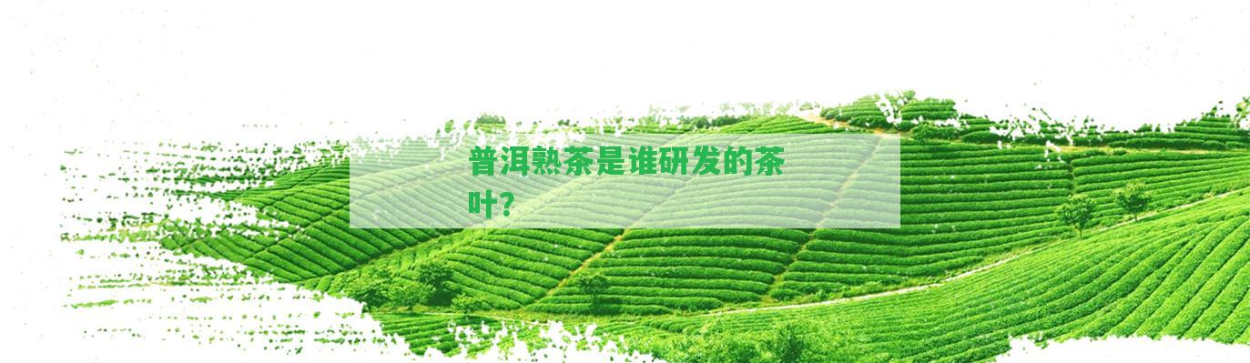 普洱熟茶是誰研發(fā)的茶葉？