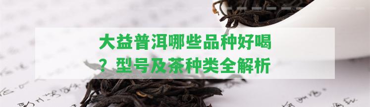 大益普洱哪些品種好喝？型號及茶種類全解析