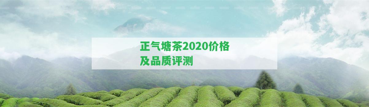 正氣塘茶2020價(jià)格及品質(zhì)評(píng)測(cè)