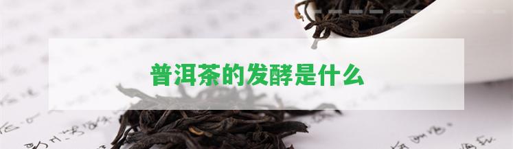 普洱茶的發(fā)酵是什么