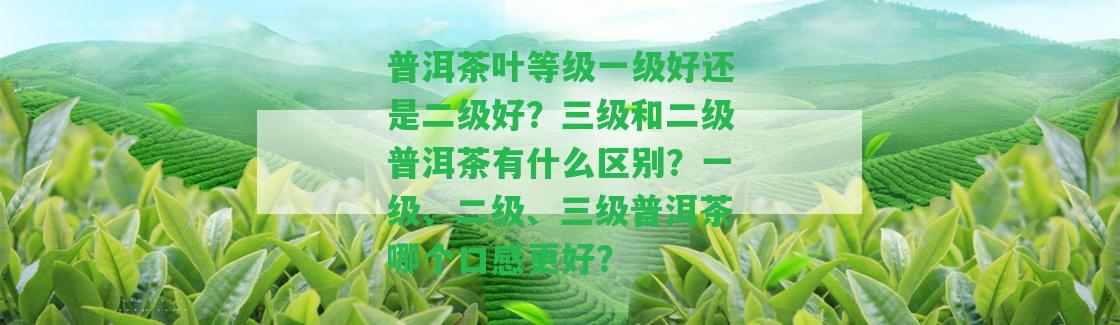 普洱茶葉等級一級好還是二級好？三級和二級普洱茶有什么區(qū)別？一級、二級、三級普洱茶哪個口感更好？