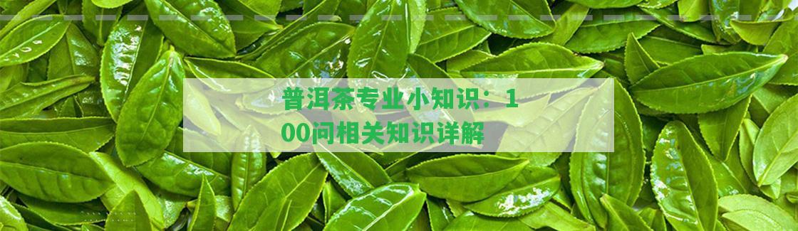 普洱茶專業(yè)小知識(shí)：100問(wèn)相關(guān)知識(shí)詳解