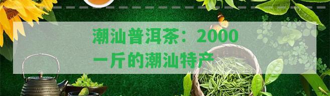 潮汕普洱茶：2000一斤的潮汕特產(chǎn)