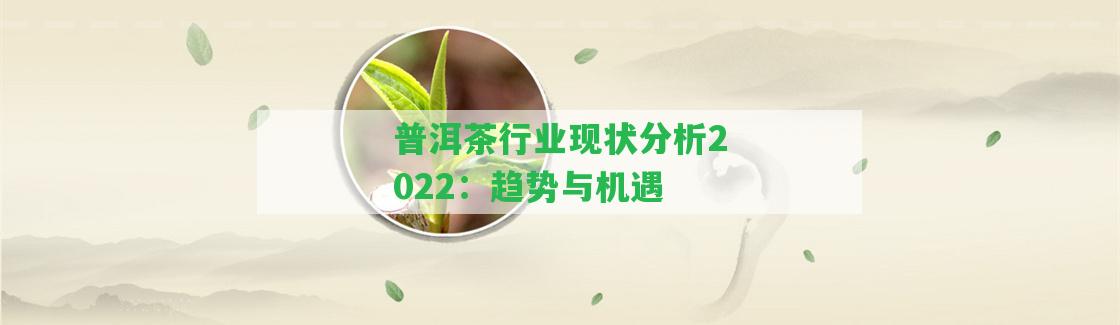 普洱茶行業(yè)現(xiàn)狀分析2022：趨勢與機遇