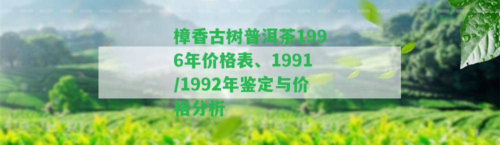 樟香古樹普洱茶1996年價(jià)格表、1991/1992年鑒定與價(jià)格分析