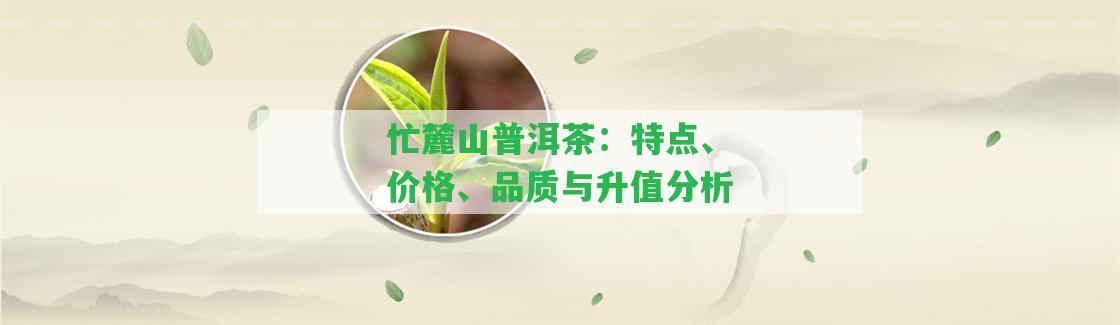 忙麓山普洱茶：特點、價格、品質(zhì)與升值分析