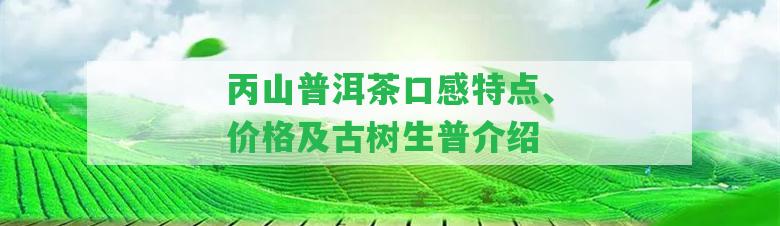 丙山普洱茶口感特點、價格及古樹生普介紹