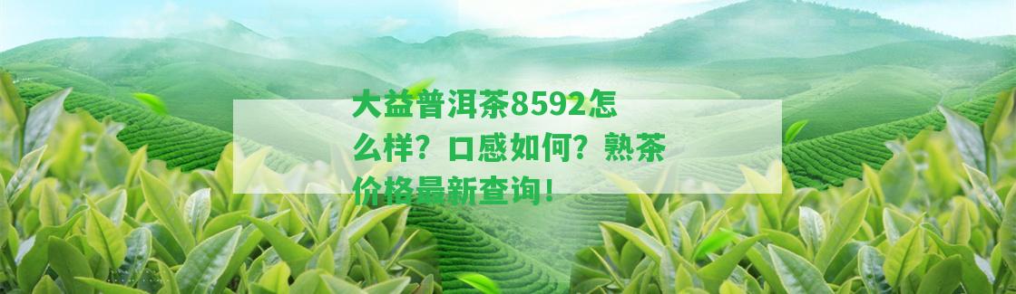 大益普洱茶8592怎么樣？口感怎樣？熟茶價格最新查詢！