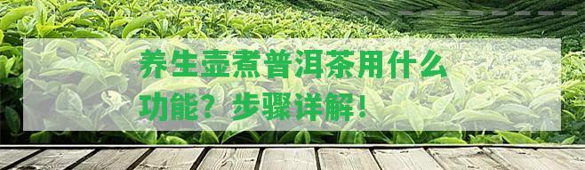 養(yǎng)生壺煮普洱茶用什么功能？步驟詳解！